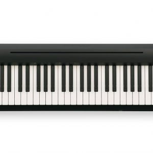 roland fp-10