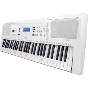 yamaha ez-300