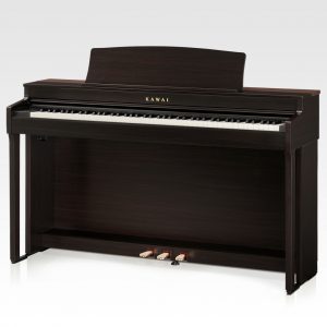 Kawai CN301