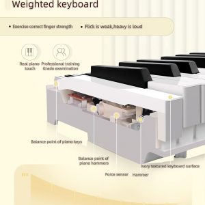 Sheirin Digital Piano review